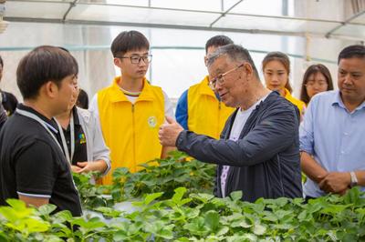 傳承亞夫精神，貢獻青春力量 江蘇農林職業技術學院新禾助農服務團的鄉村振興實踐